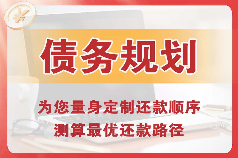 安陆债务规划